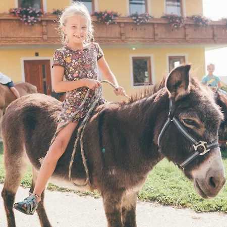 Essleggerhof * Fachau