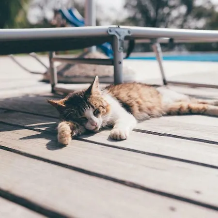 Essleggerhof مزرعة للإقامة