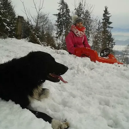 ファームステイ Essleggerhof *